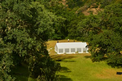 DSC_6794 (Large).JPG